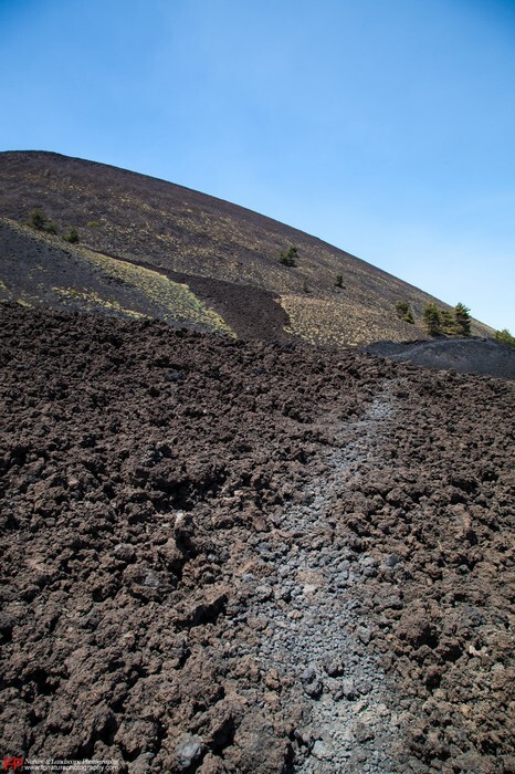 sentiero per monte nero