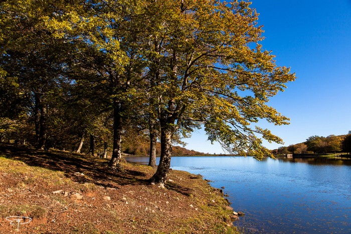 autunno al lago maulazzo