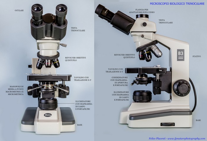 schema microscopio
