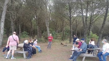 conferenza nel bosco