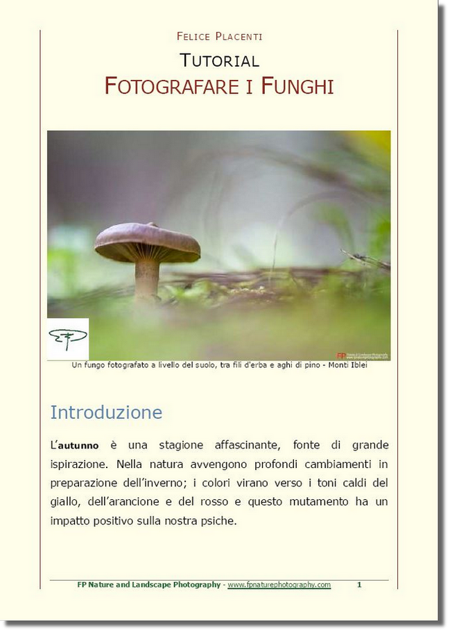 ebook fotografare i funghi